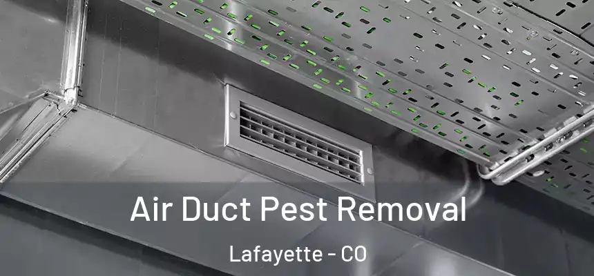 Air Duct Pest Removal Lafayette - CO