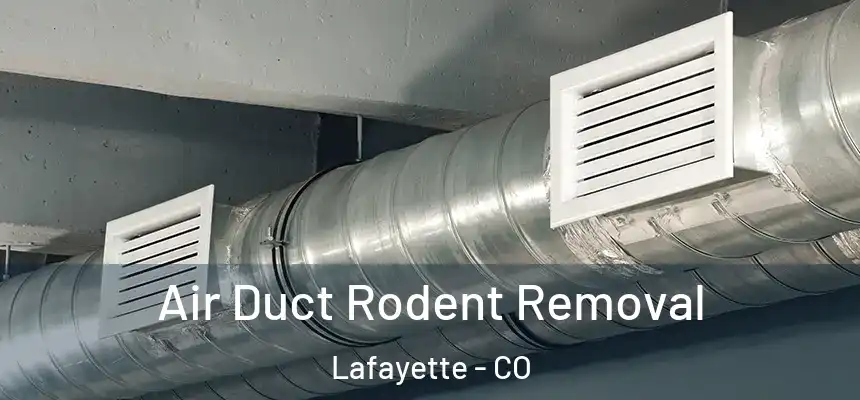 Air Duct Rodent Removal Lafayette - CO