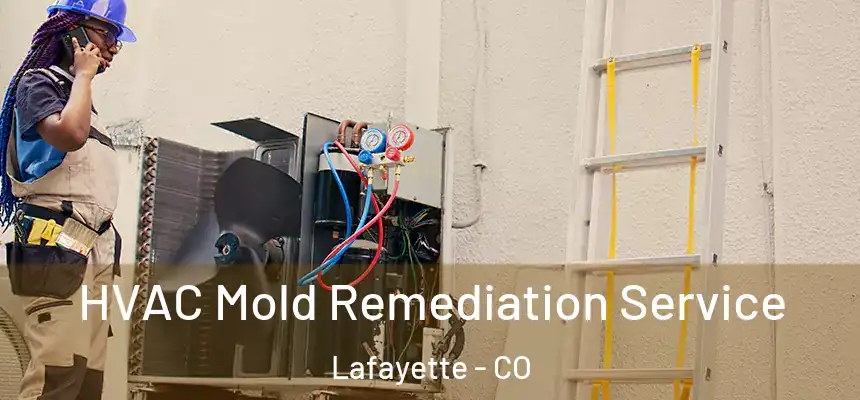 HVAC Mold Remediation Service Lafayette - CO