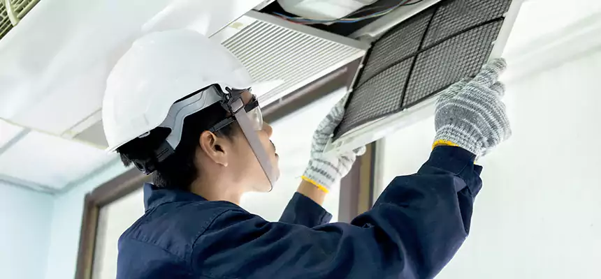 Our Mold & Mildew Removal from Air Ducts Services in Lafayette, CO