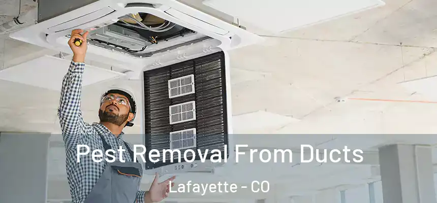 Pest Removal From Ducts Lafayette - CO