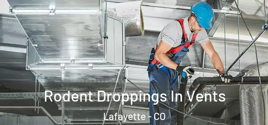  Rodent Droppings In Vents Lafayette - CO