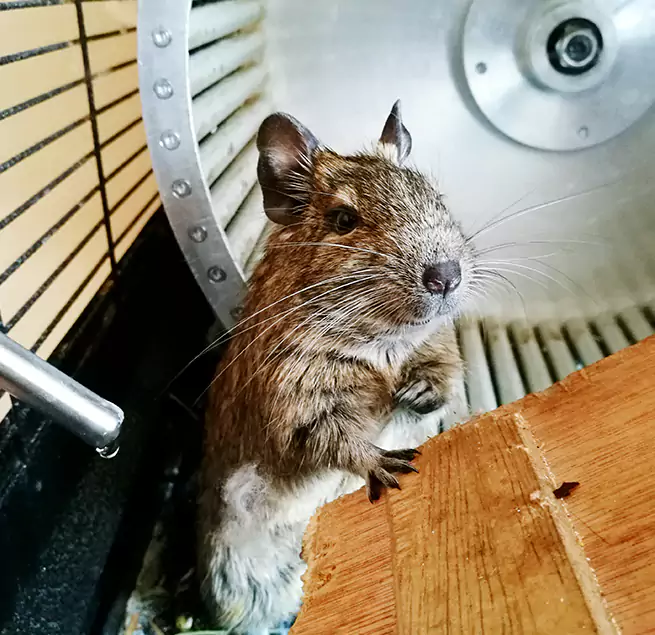 Why Homeowners & Businesses Trust Us Lafayette, CO?