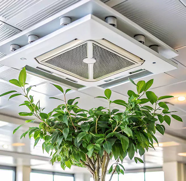 Why Homeowners & Businesses Trust Us in Lafayette, CO